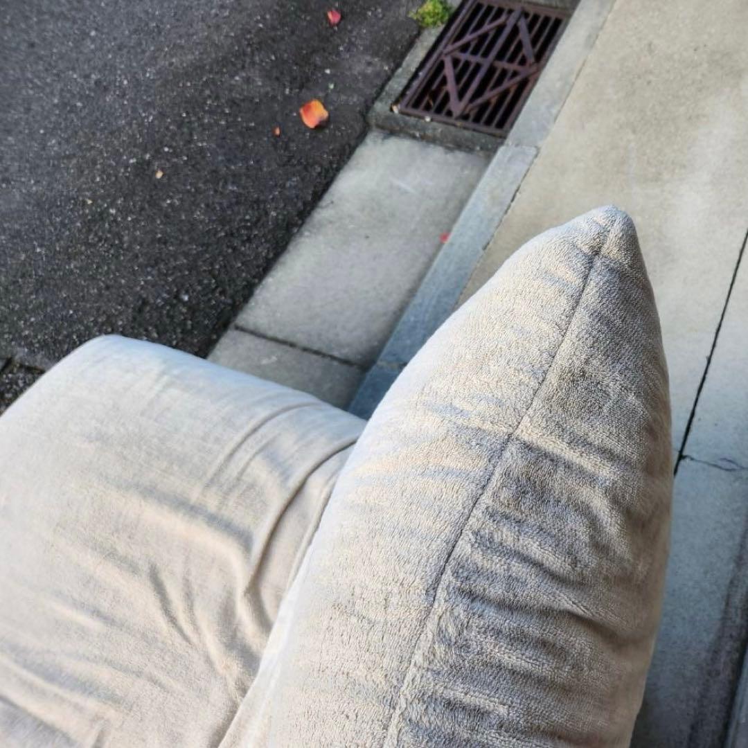 ligne roset / リーン・ロゼ ROSETCalin type2ソファ