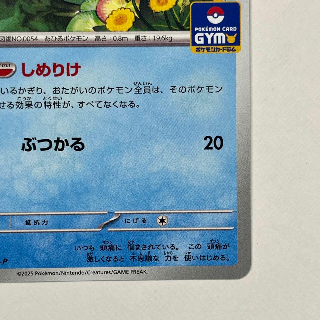 美品】コダック プロモ 262/SV-P しめつけ - メルカリ