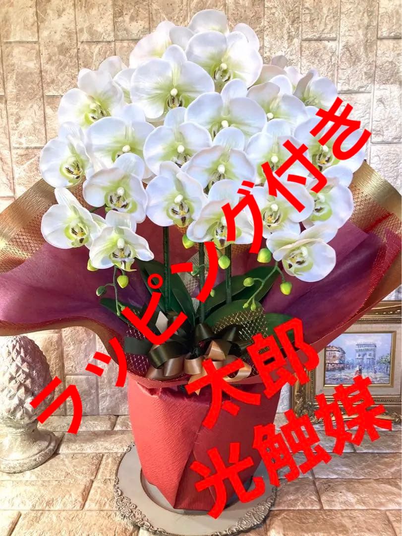 光触媒　人工観葉植物　ウォールグリーン　フェイク　フラワー　リアル胡蝶蘭wg