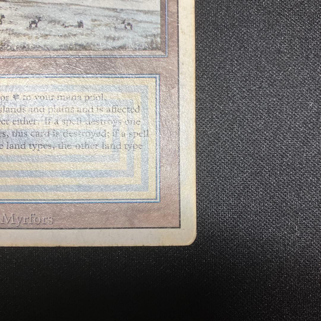 MTG Tundra 【3ED】 リバイズド 英語版 デュアルランド - メルカリ