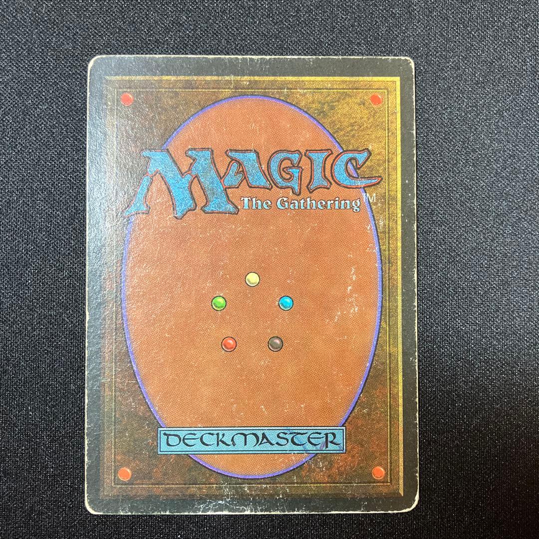 MTG Tundra 【3ED】 リバイズド 英語版 デュアルランド - メルカリ