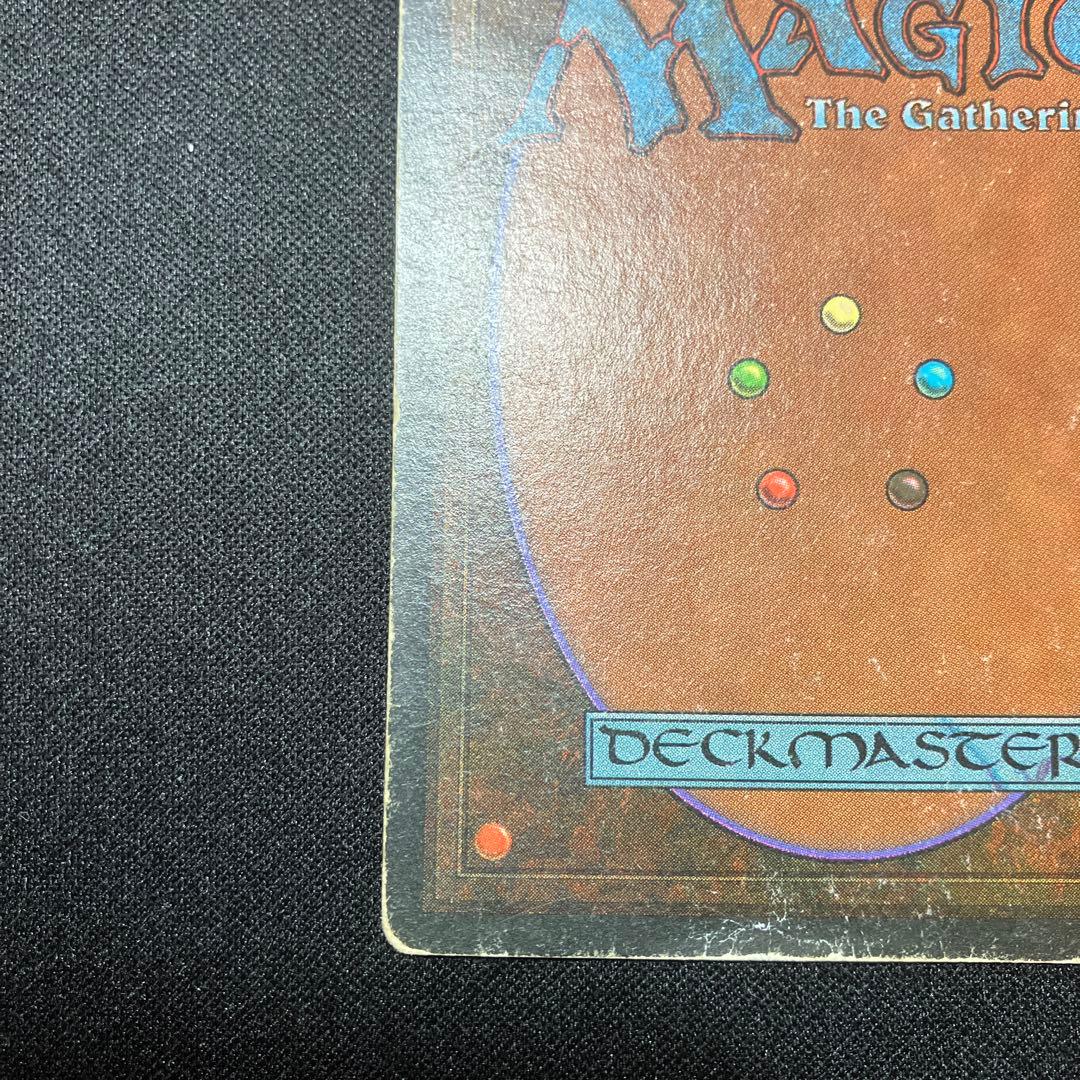 MTG Tundra 【3ED】 リバイズド 英語版 デュアルランド - メルカリ