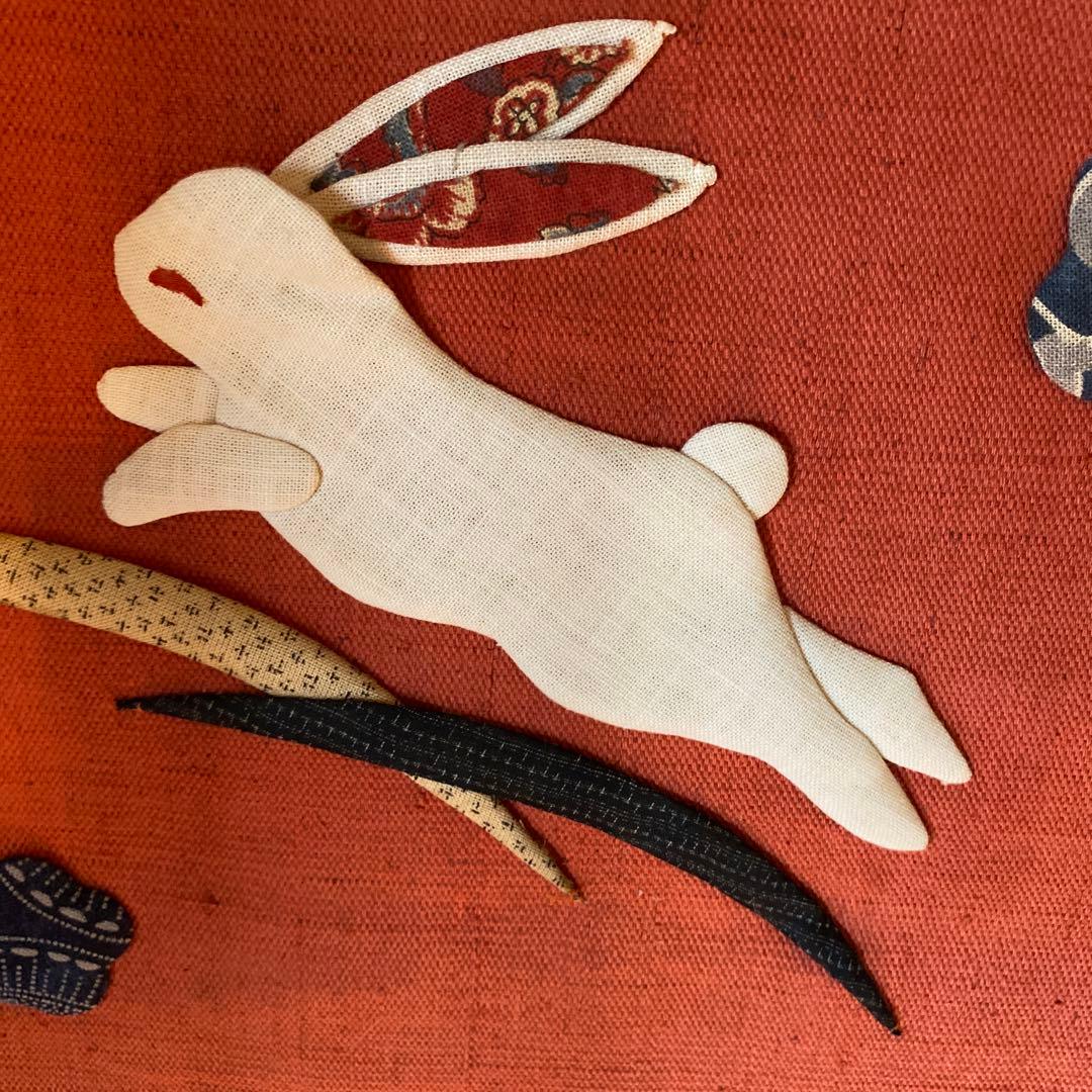 クロチク跳ねるうさぎさん!歳を超えても元気です