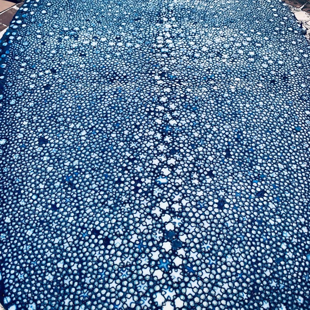 26) 極上 SSタンナー イバラエイ