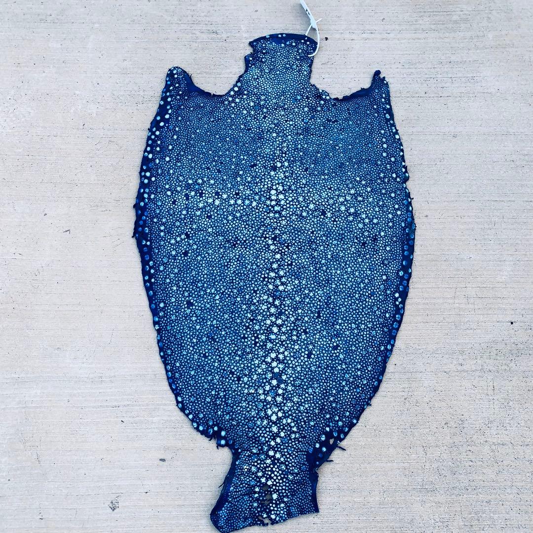 26) 極上 SSタンナー イバラエイ