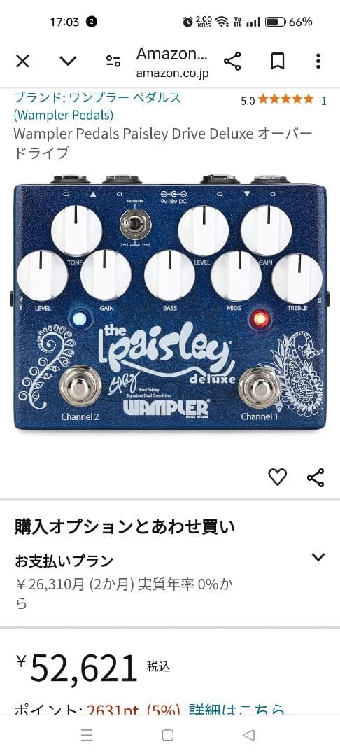ギター WAMPLER the paisley deluxe