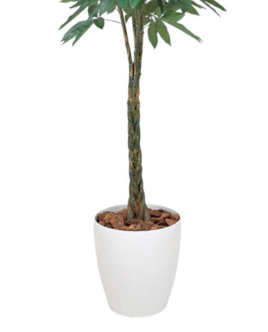 光触媒　人工観葉植物　ウォールグリーン　フェイクグリーン　パキラ 1.6m