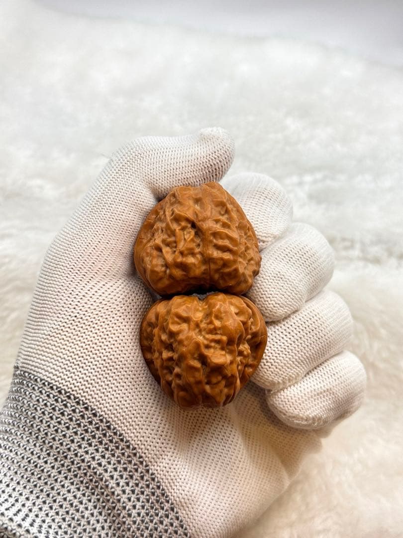 三角蛤蟆頭1（サイズ40） クルミ