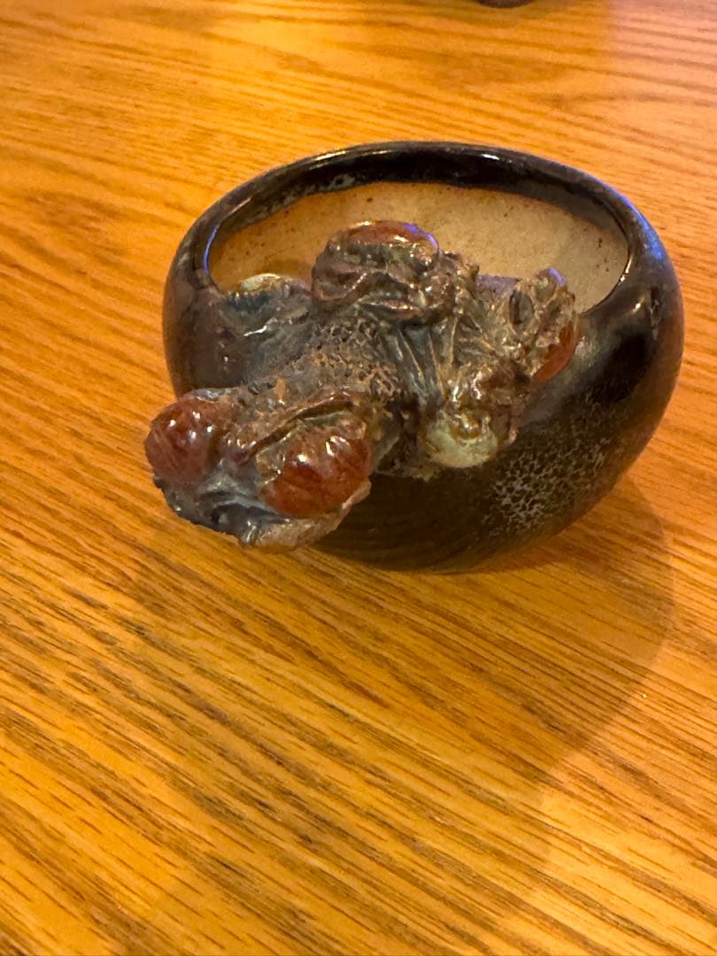 岡谷是心　鉢　盆栽