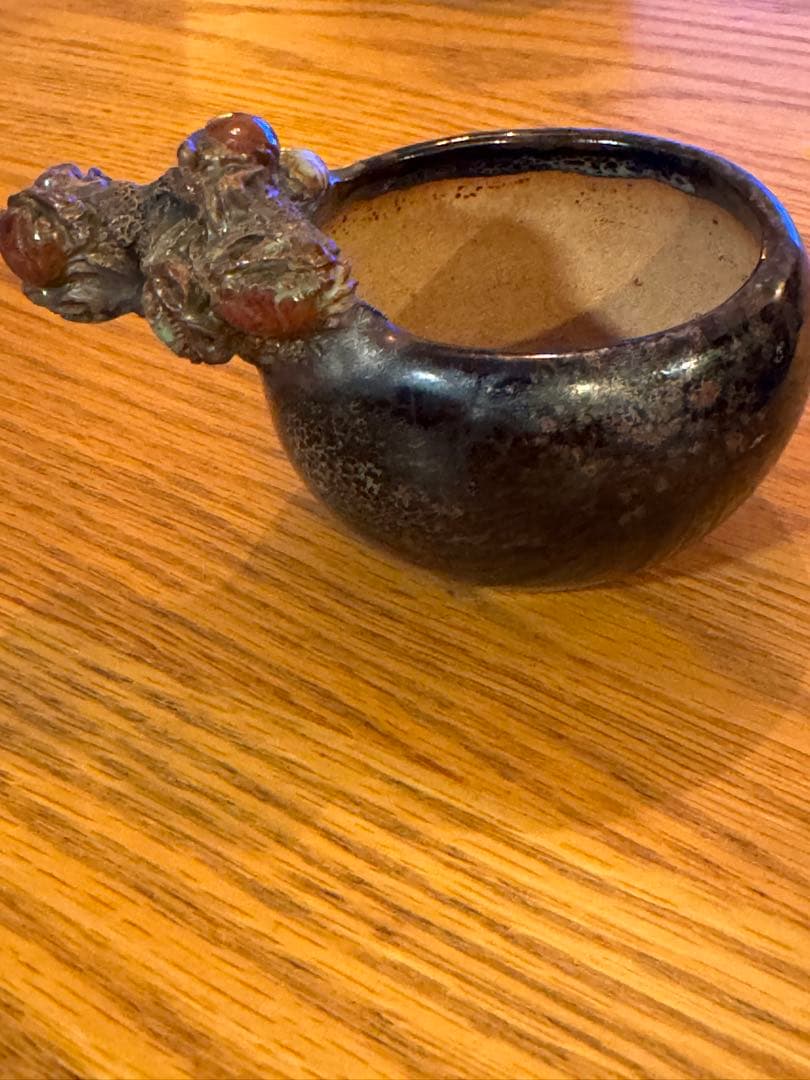 岡谷是心　鉢　盆栽