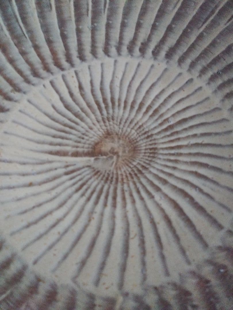 小鹿田焼き　焼物