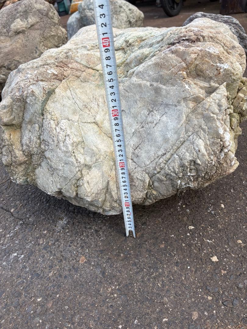 小滝川由来 天然石 庭石 90cm級 真贋不明