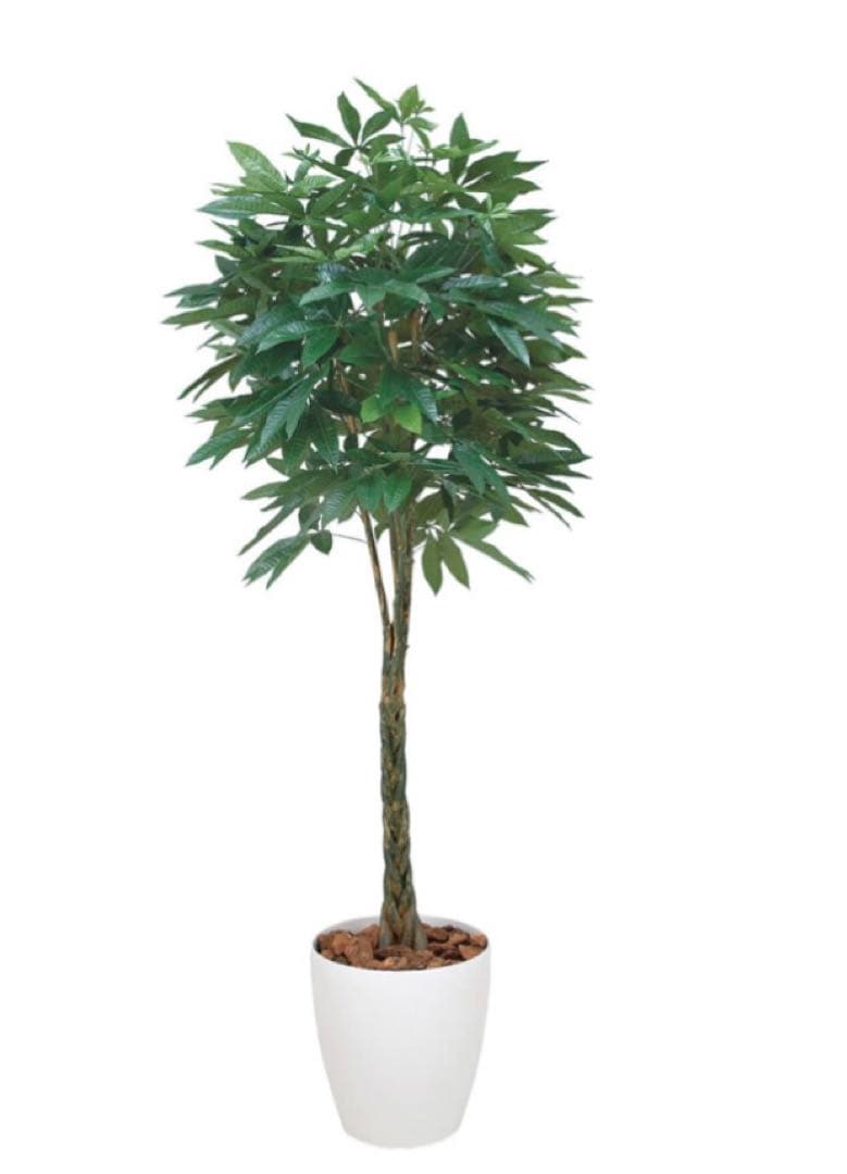 光触媒　人工観葉植物　ウォールグリーン　フェイクグリーン　パキラ 2.0m