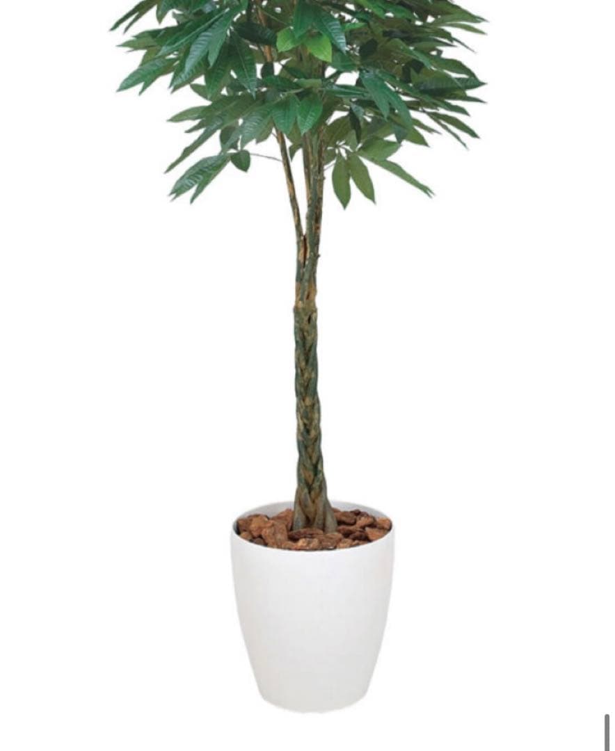 光触媒　人工観葉植物　ウォールグリーン　フェイクグリーン　パキラ 2.0m