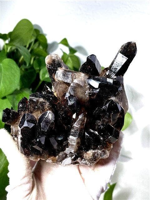 AAA級【魔除け】◆天然モリオン(黒水晶）クラスターYT8C6/149C19A