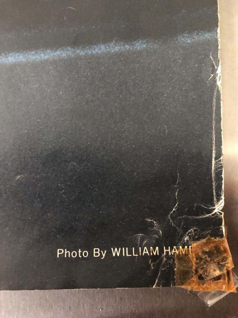 ブルーススプリングスティーン　ポスター