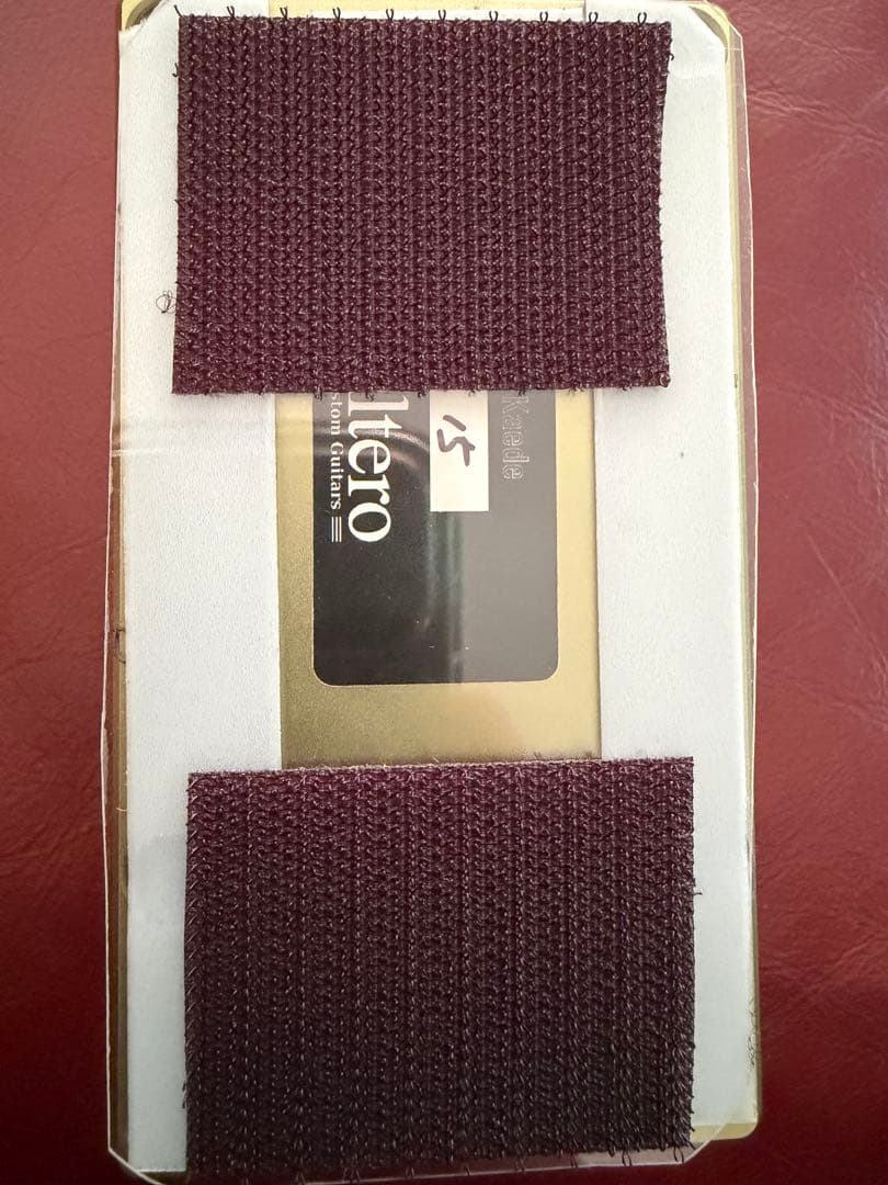 Altero Custom Guitars KAEDE -楓-初期