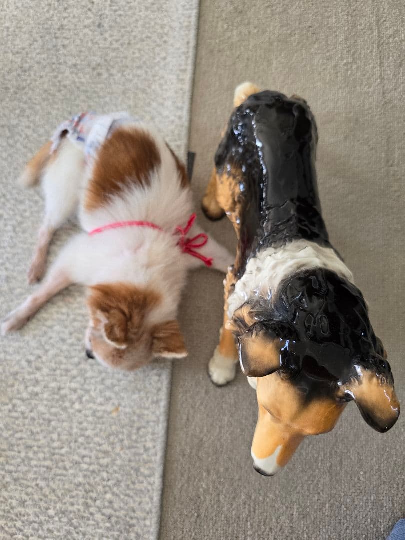 シェルティ　置物　陶器　高級舶来品　コリー　名犬ラッシー