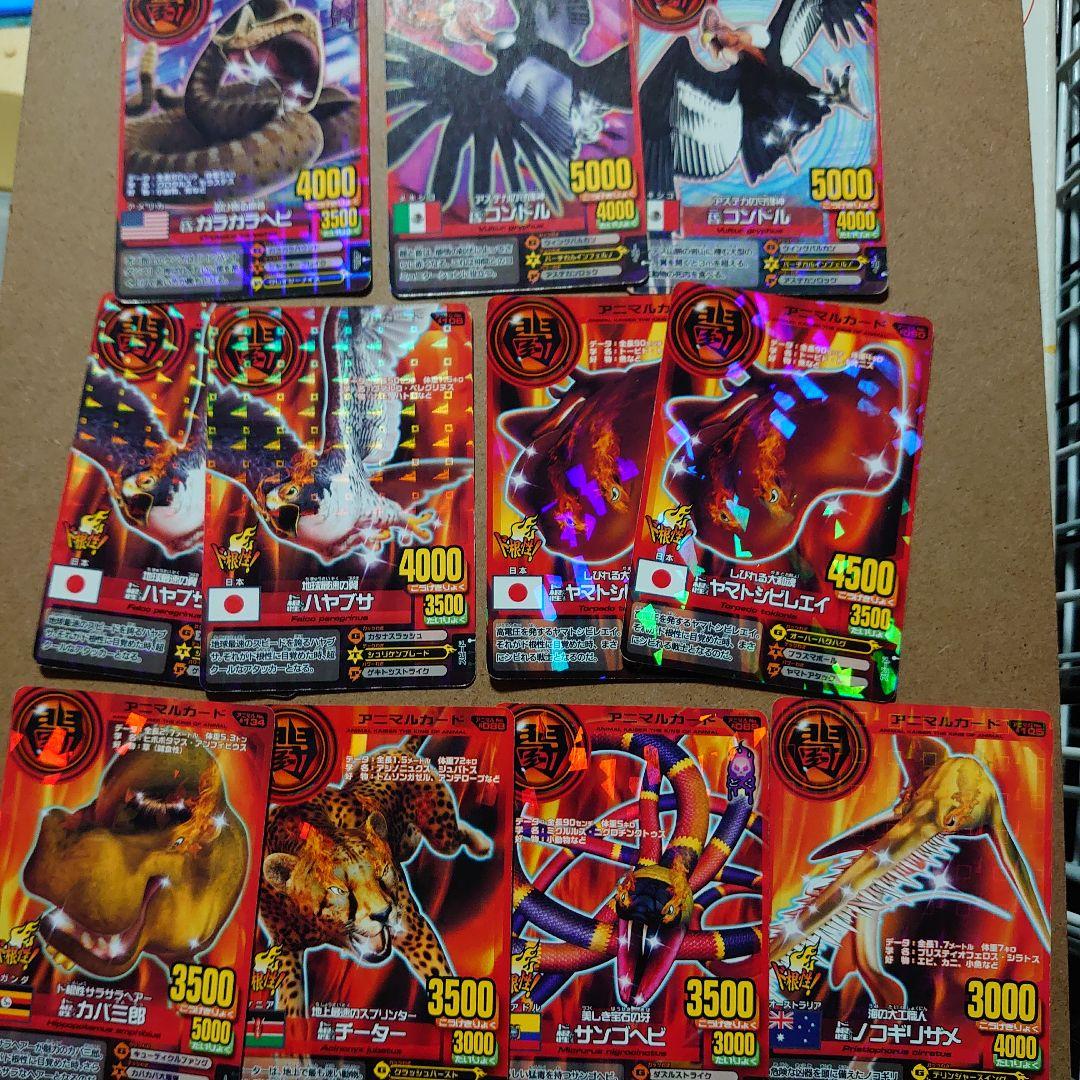 アニマルカイザー二代目、ド根性9種類11枚セット - メルカリ
