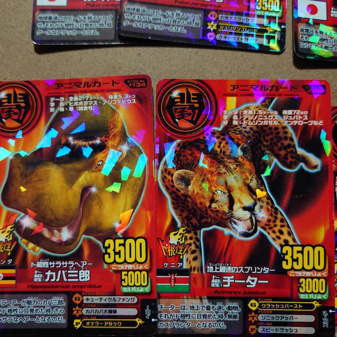 アニマルカイザー二代目、ド根性9種類11枚セット - メルカリ