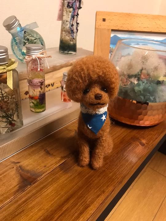 羊毛フェルト　トイプードル(マッシュルームカット)