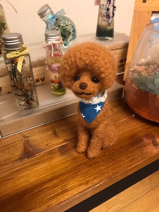 羊毛フェルト　トイプードル(マッシュルームカット)