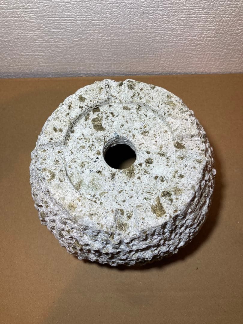 大谷石 中品サイズ アガベ 植木鉢 盆栽鉢 天然石 - メルカリ