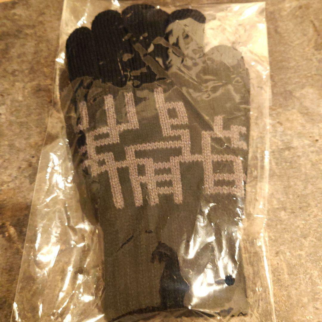 布袋寅泰 手袋 HOTEI 45th CELEBRATION GIGS - メルカリ