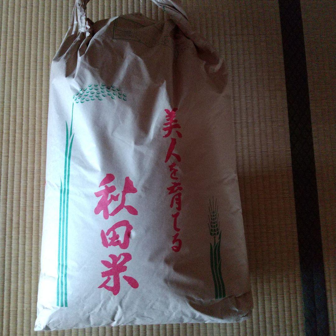 EPOCH2020 内藤尚行 直筆サイン 1of1 EPOCH2020東京ヤクルトスワローズ St