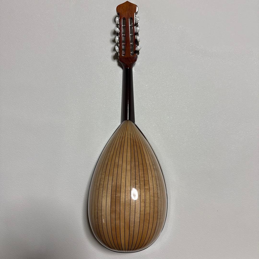 石川捷二郎監修 Venezia マンドリン M-50 ハードケース付 - メルカリ