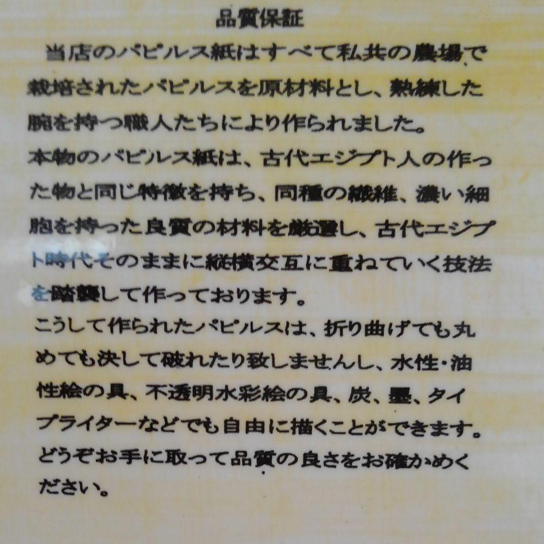 エジプト　ツタンカーメン　肖像画