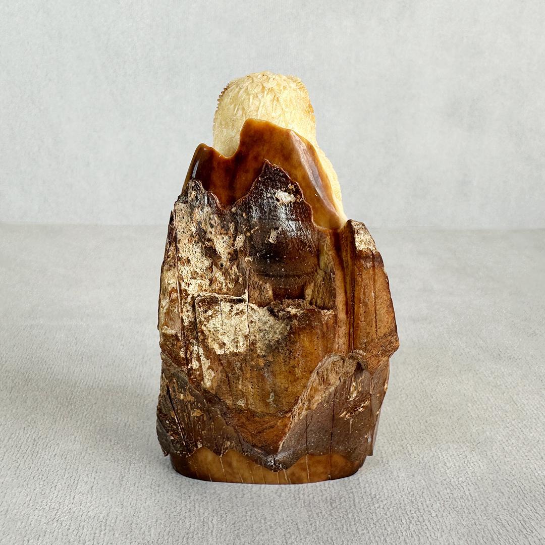 置根付　フクロウ 梟　セイウチ牙製　彫刻 　ミ10