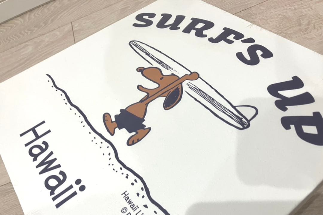 MONI HONOLULU モニホノルルの日焼けスヌーピー　キャンバス　アート