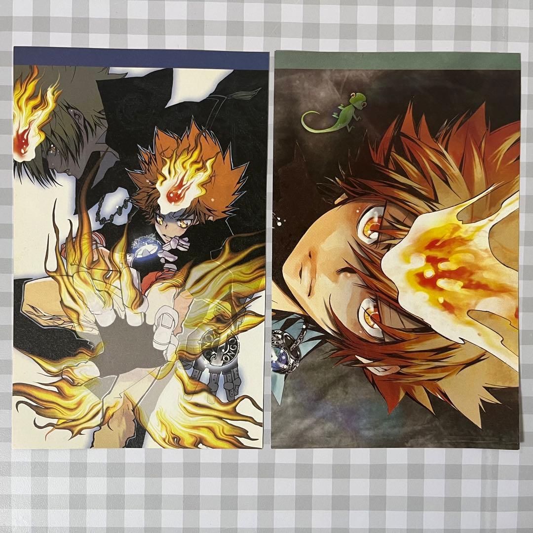 家庭教師ヒットマンREBORN 両面切り抜き 沢田綱吉 プリーモ ハイパー