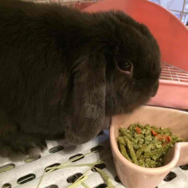 ハンドメイド画像