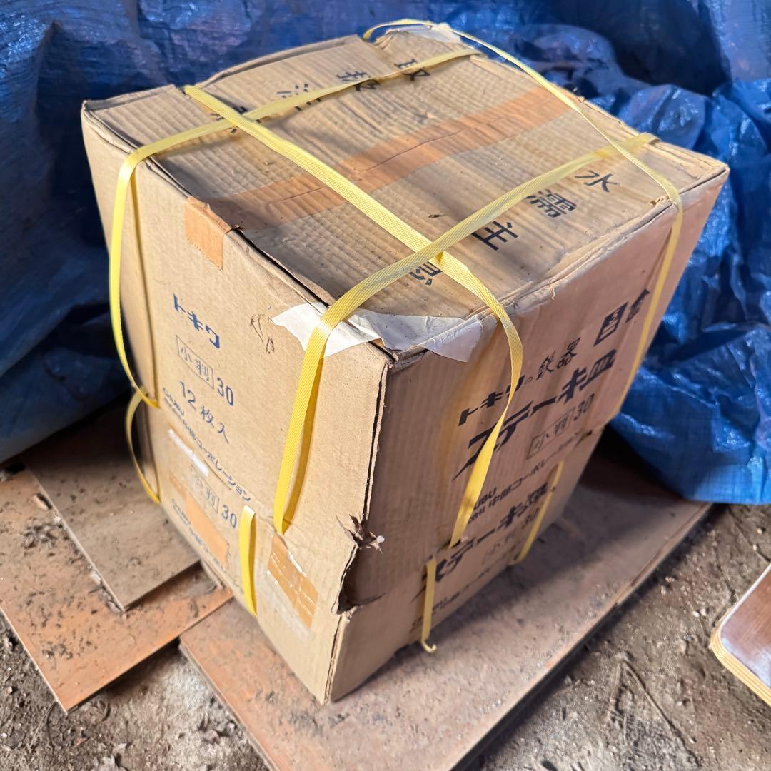 【新品未使用】中部コーポレーション トキワ ステーキ皿 小判 大　10個セット②