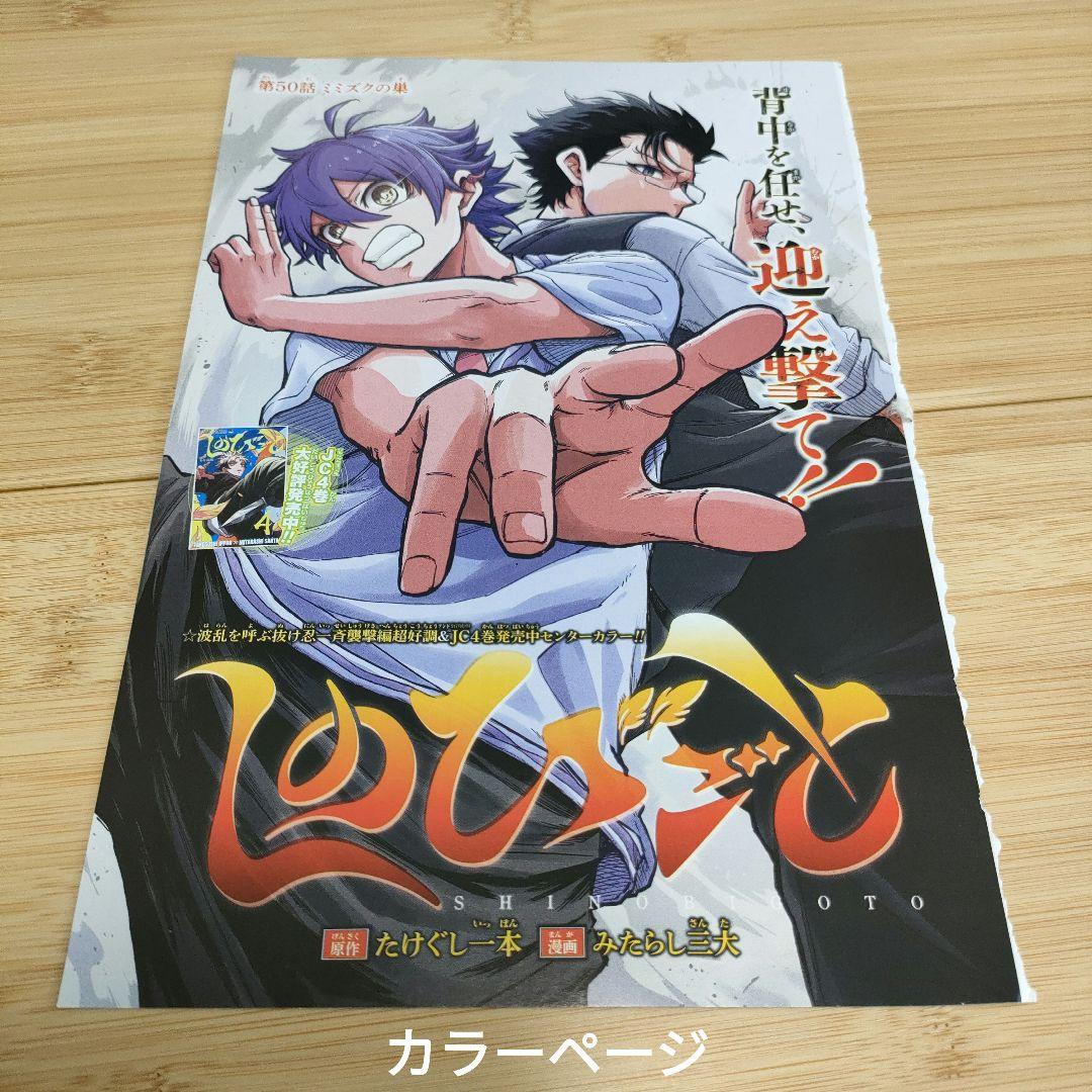 ジャンプ付録 しのびごと 13点 カラーページ カード ゲッコウガ