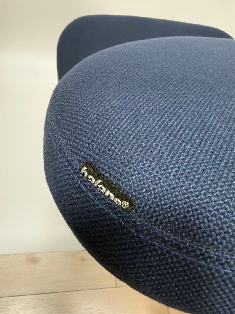 バランスチェア　イージー　balans Easy　サカモトハウス