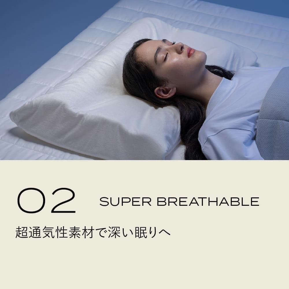 ブレインスリープピロー ネックコンディショニング アクティブエア カバー付き