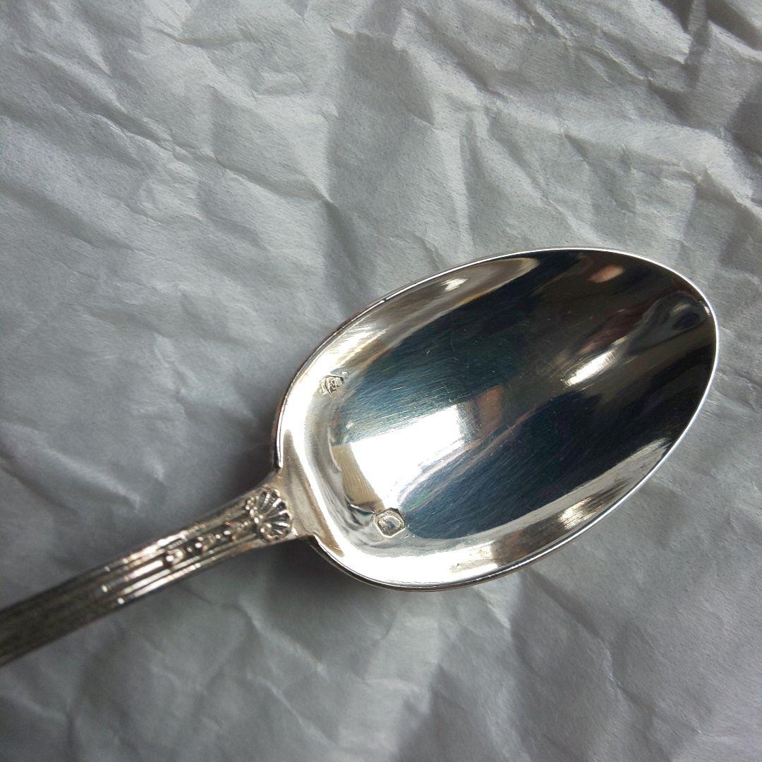 ピュイフォルカ スプーン