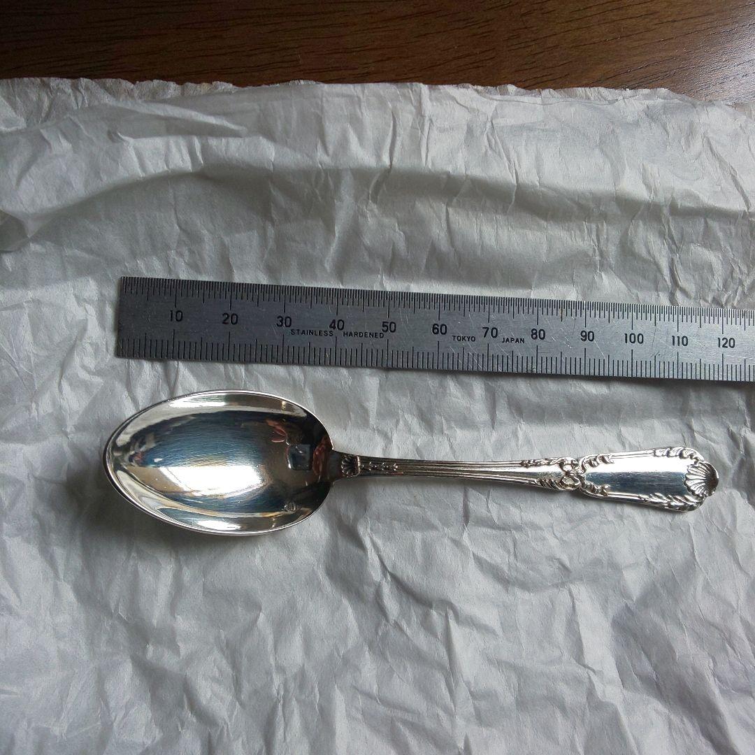 ピュイフォルカ スプーン