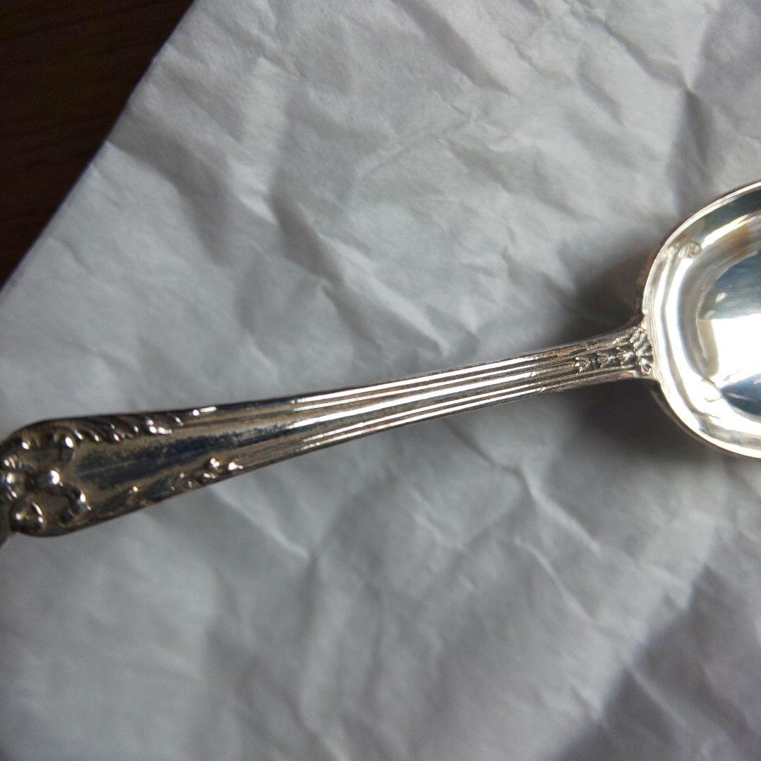 ピュイフォルカ スプーン