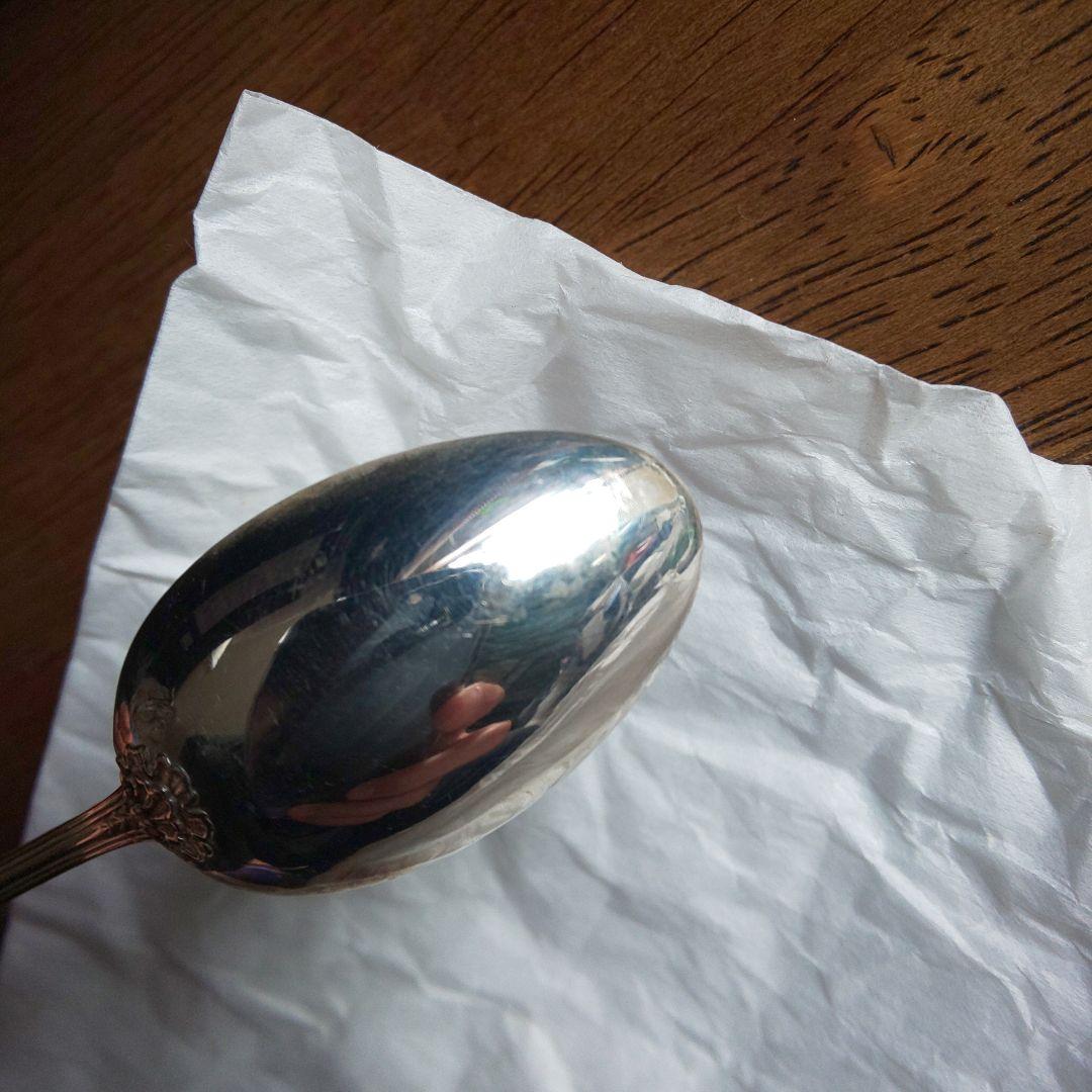 ピュイフォルカ スプーン