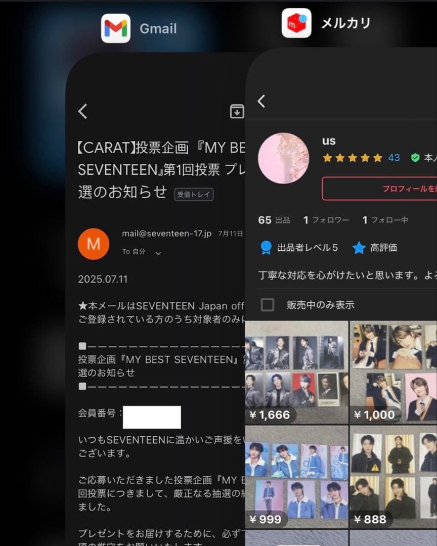 MY BEST SEVENTEEN セブチ THE8