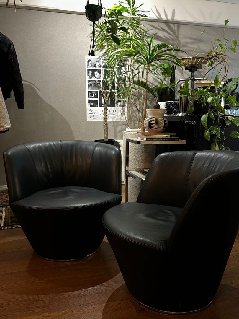 Walter Knoll ウォルター・ノル 本革　（一台）