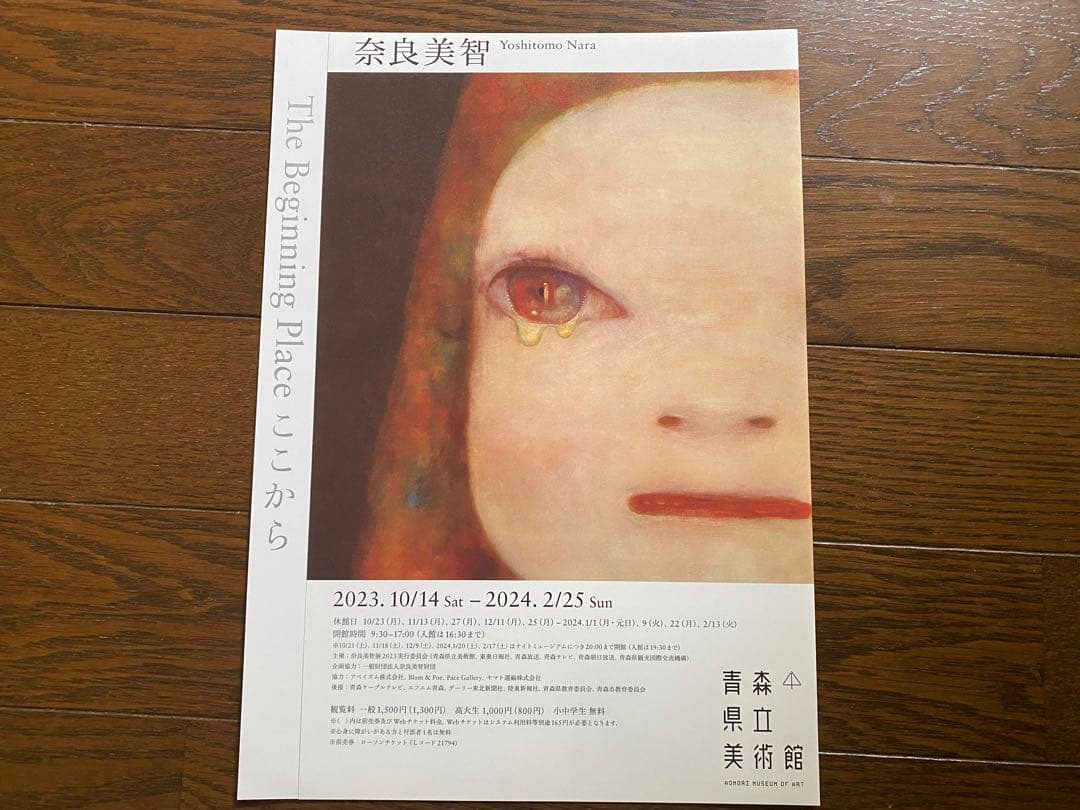 奈良美智 りんご箱ポストカード 全種 フライヤー付き - メルカリ