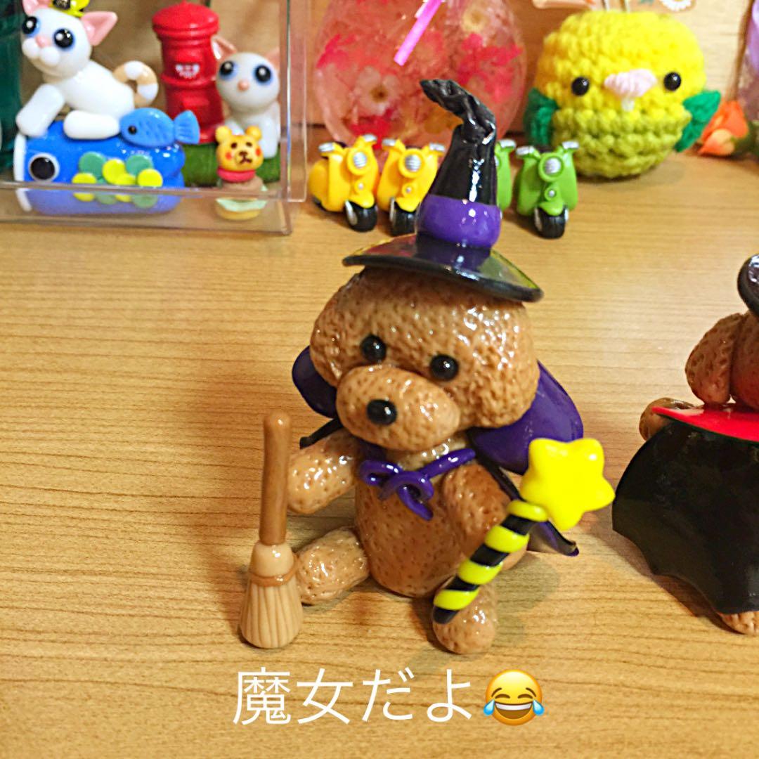 ソラたむ★ポコ太様❤ プードル ハロウィン 紅葉 オブジェ♡