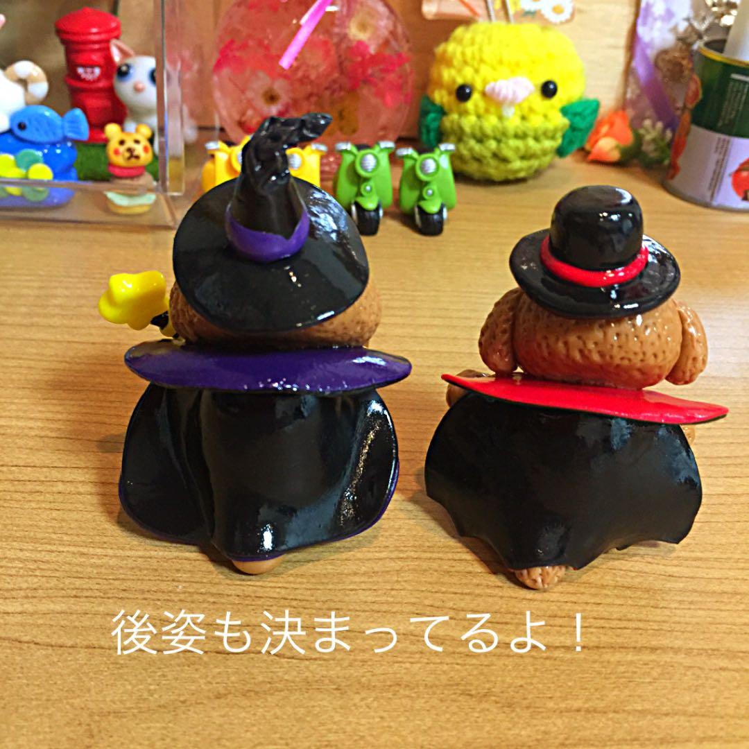 ソラたむ★ポコ太様❤ プードル ハロウィン 紅葉 オブジェ♡