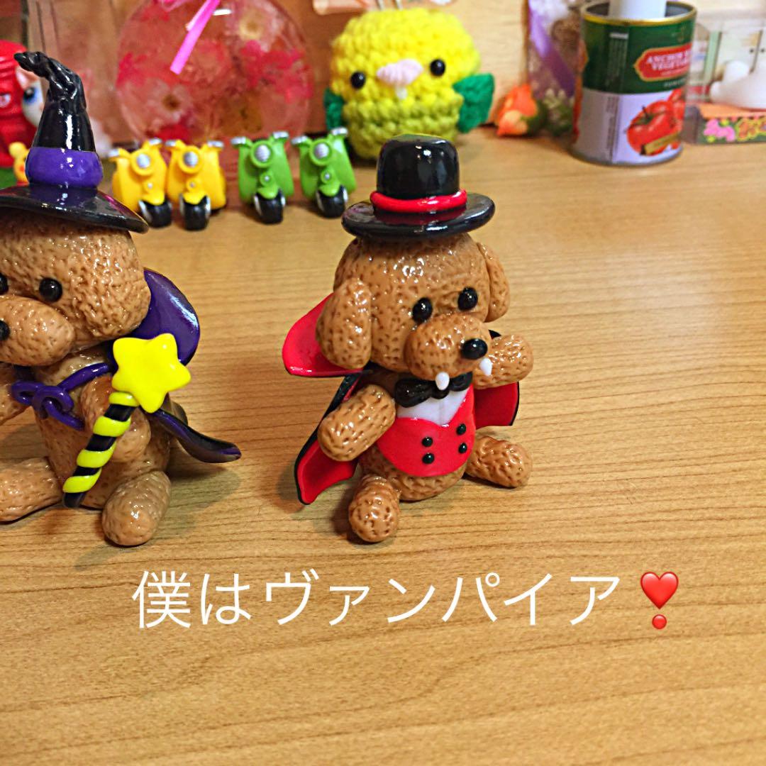 ソラたむ★ポコ太様❤ プードル ハロウィン 紅葉 オブジェ♡