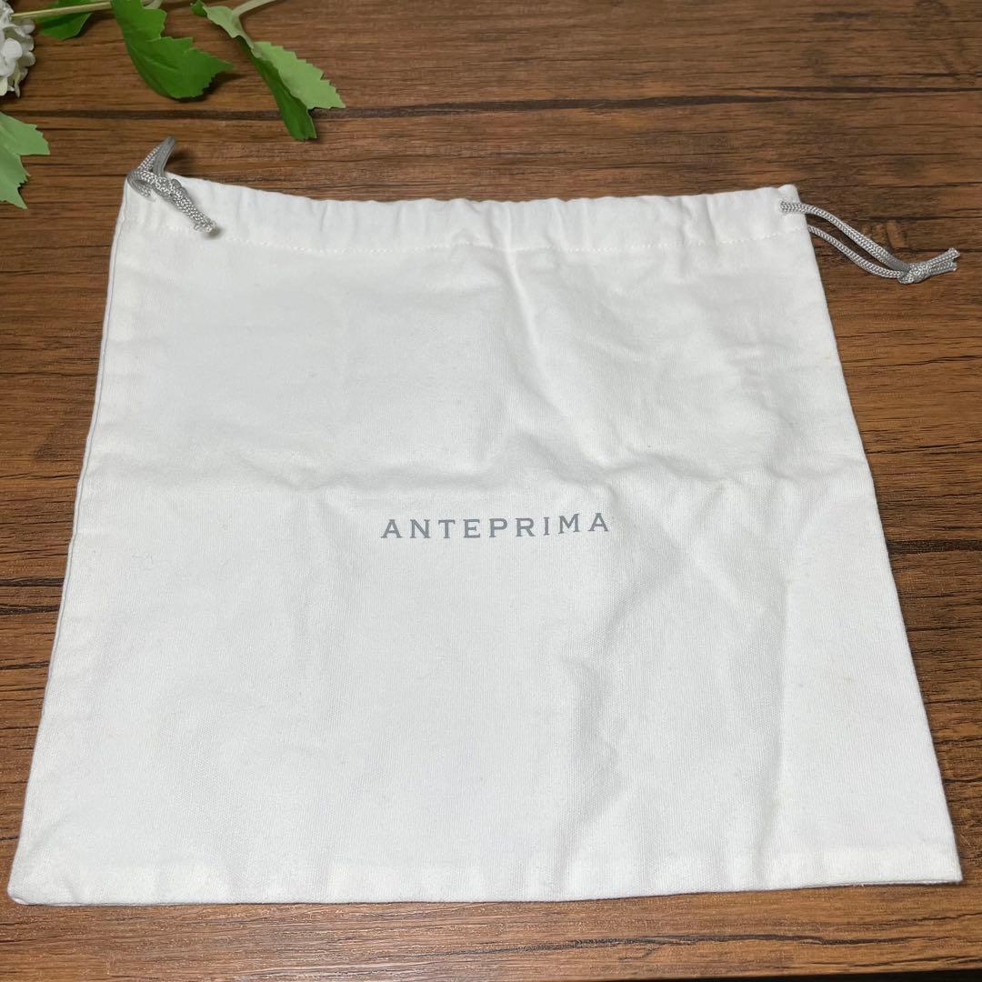 美品 アンテプリマ ルッケットG スモール チェーン ワイヤーバッグ